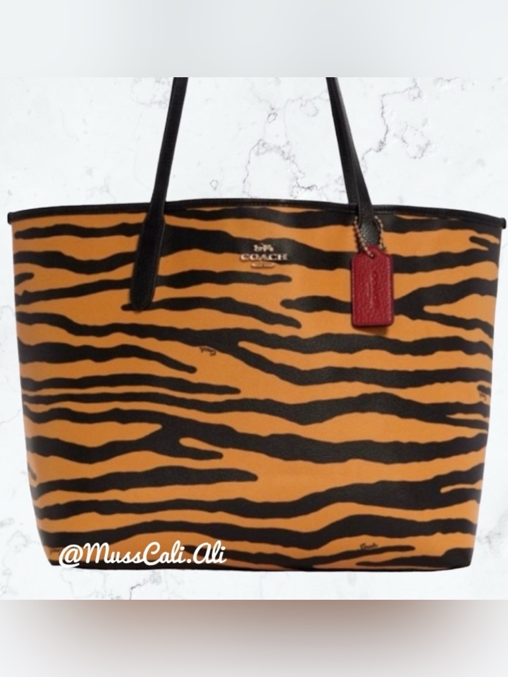 NWT COACH Tiger City Tote Bag In With Animal Print